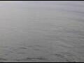 Webcam AIDAperla