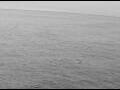 Webcam AIDAperla