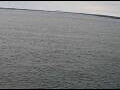 Webcam AIDAperla