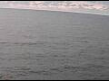Webcam AIDAperla