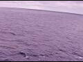 Webcam AIDAperla