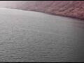Webcam AIDAperla