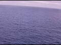 Webcam AIDAperla