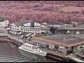 Webcam AIDAperla