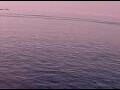 Webcam AIDAperla