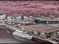 Webcam AIDAperla