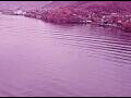 Webcam AIDAperla