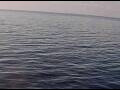 Webcam AIDAperla
