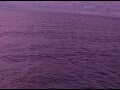 Webcam AIDAperla