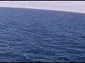 Webcam AIDAperla