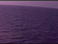 Webcam AIDAperla