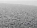 Webcam AIDAperla