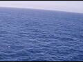 Webcam AIDAperla