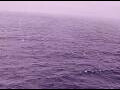 Webcam AIDAperla