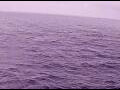 Webcam AIDAperla