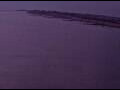 Webcam AIDAperla