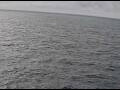 Webcam AIDAperla