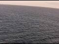 Webcam AIDAperla