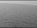 Webcam AIDAperla