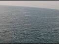 Webcam AIDAperla