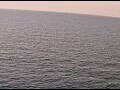 Webcam AIDAperla