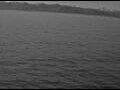 Webcam AIDAperla
