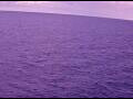 Webcam AIDAperla