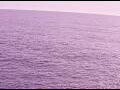 Webcam AIDAperla