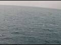 Webcam AIDAperla