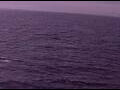 Webcam AIDAperla