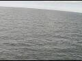 Webcam AIDAperla