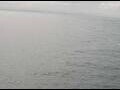 Webcam AIDAperla