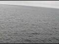 Webcam AIDAperla