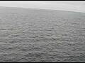Webcam AIDAperla