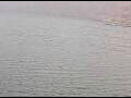 Webcam AIDAperla