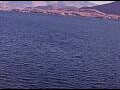 Webcam AIDAperla