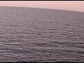 Webcam AIDAperla