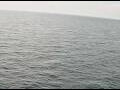 Webcam AIDAperla