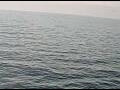 Webcam AIDAperla