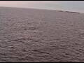 Webcam AIDAperla