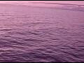 Webcam AIDAperla