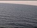 Webcam AIDAperla