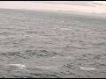 Webcam AIDAperla