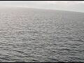 Webcam AIDAperla