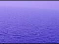 Webcam AIDAperla