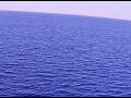 Webcam AIDAperla