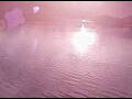 Webcam AIDAperla