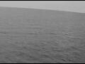 Webcam AIDAperla
