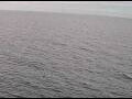 Webcam AIDAperla