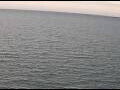 Webcam AIDAperla